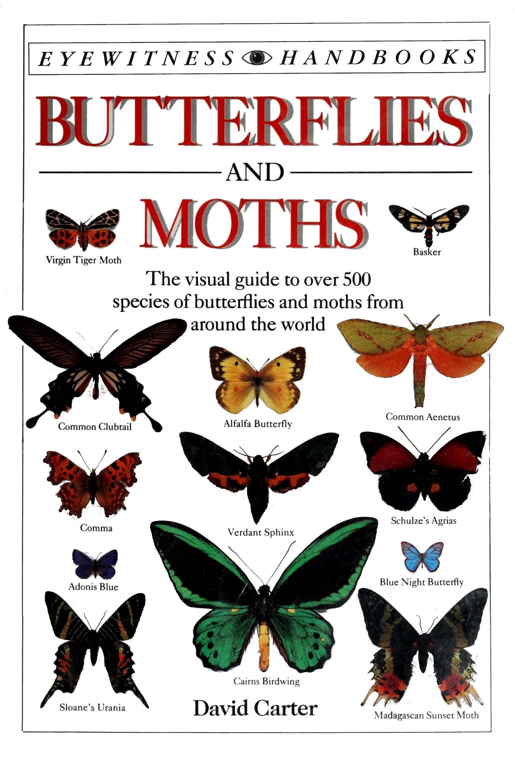 Portada ampliada de BUTTERFLIES AND MOTHS