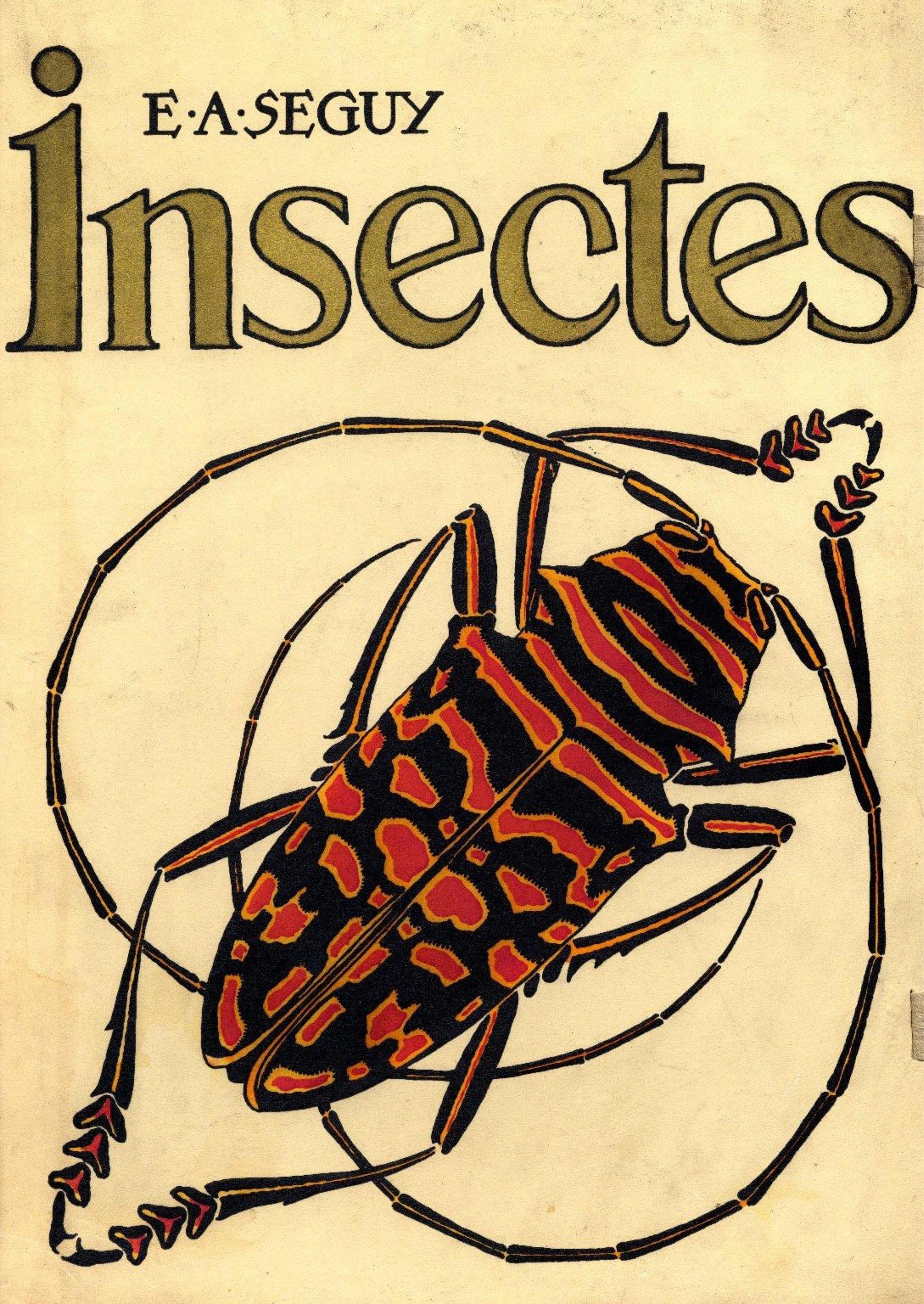 Portada ampliada de Insectes