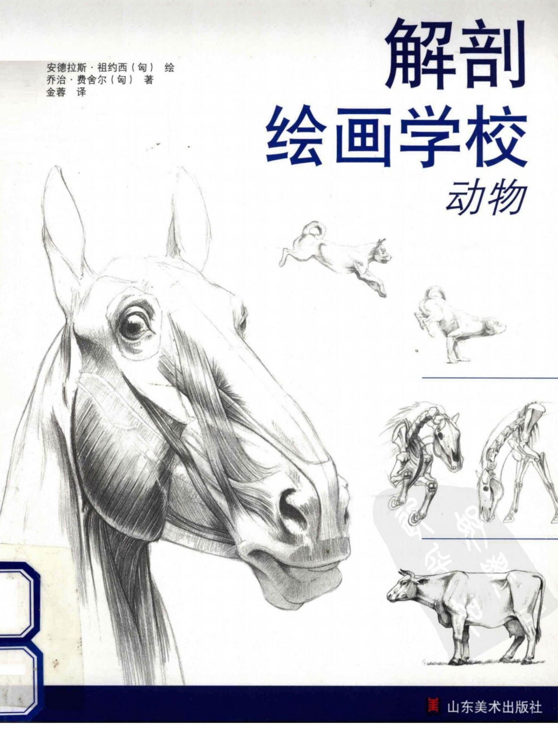 Portada ampliada de 解剖绘画学校 动物