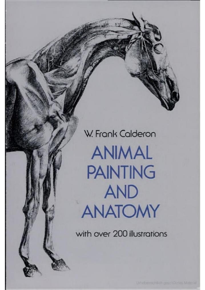 Portada ampliada de ANIMAL PAINTING AND ANATOMY
