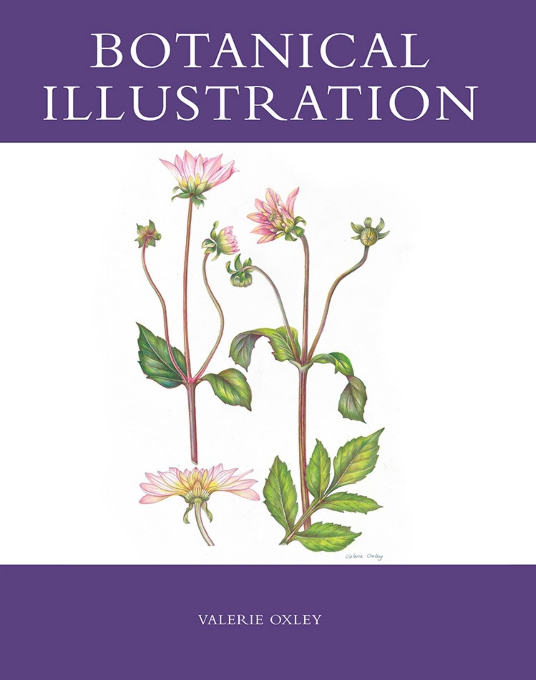 Portada ampliada de BOTANICAL ILLUSTRATION