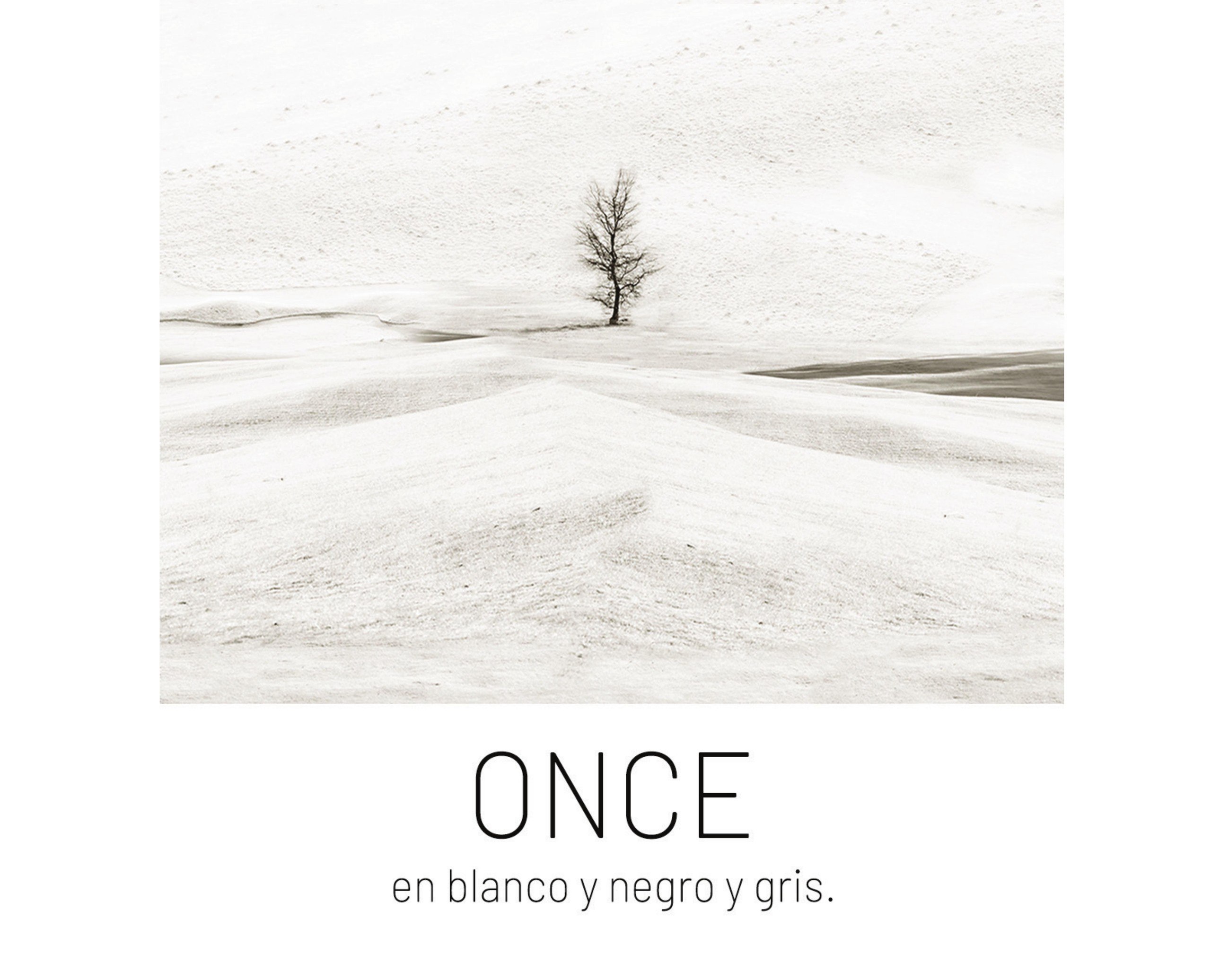 Portada ampliada de ONCE