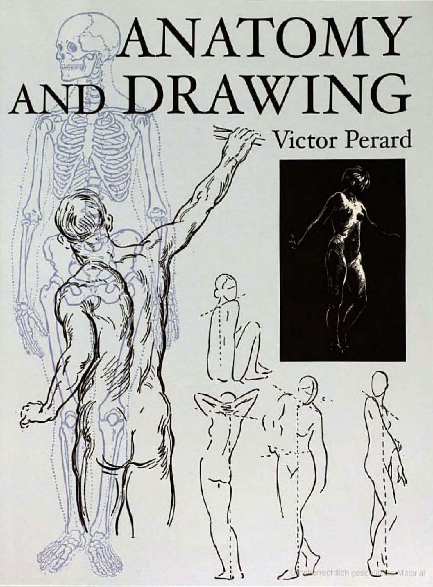 Portada ampliada de ANATOMY AND DRAWING