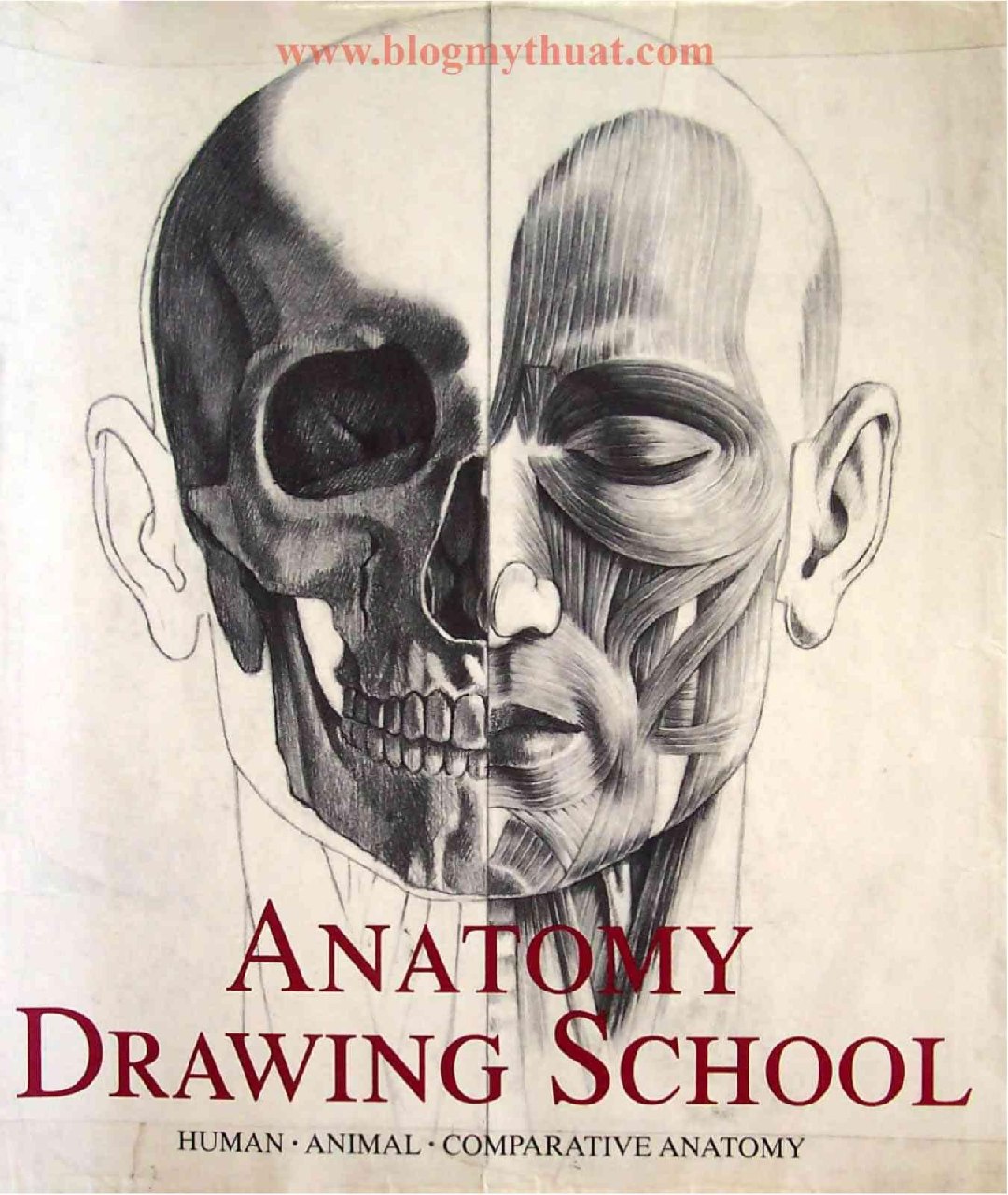 Portada ampliada de ANATOMY DRAWING SCHOOL