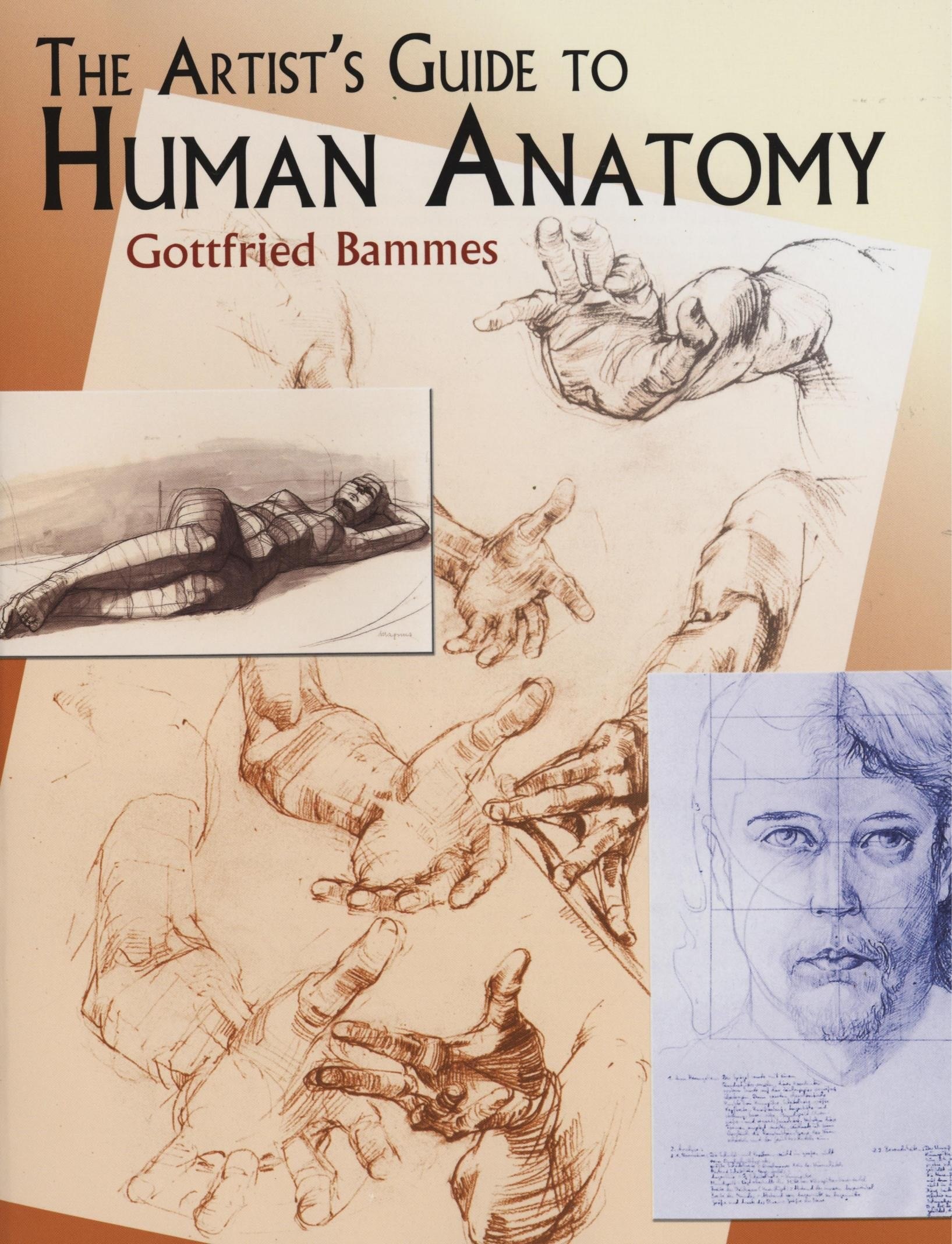 Portada ampliada de The Artist's Guide to Human Anatomy