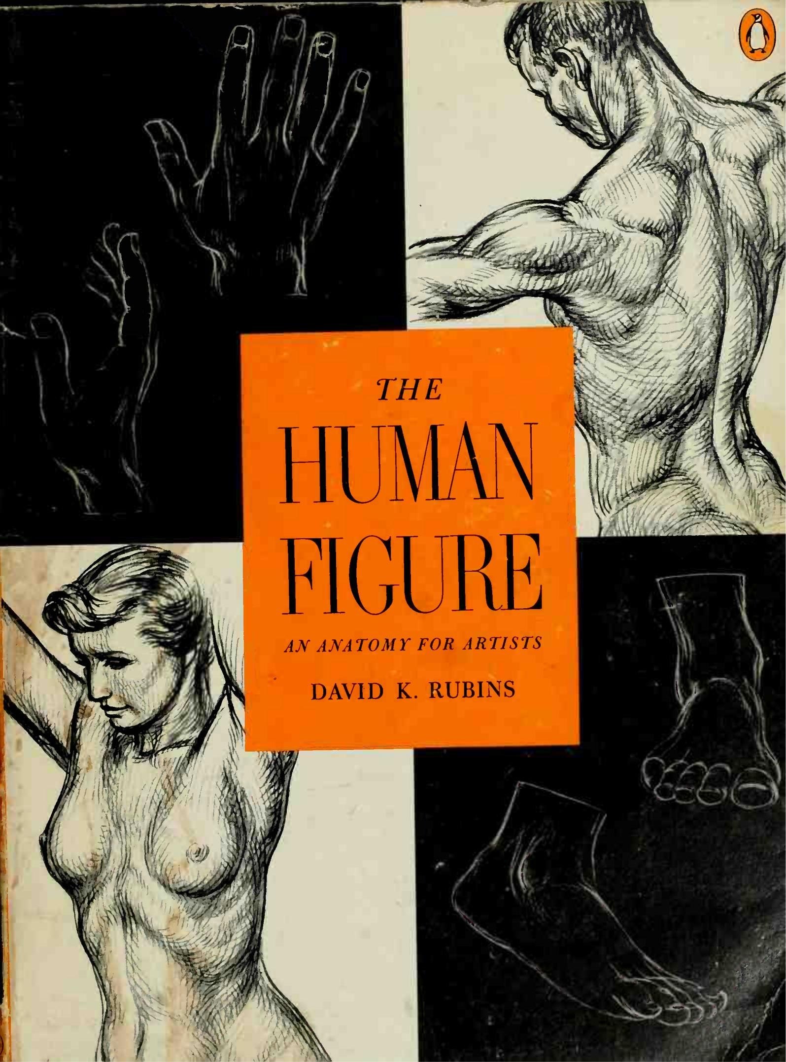 Portada ampliada de THE HUMAN FIGURE