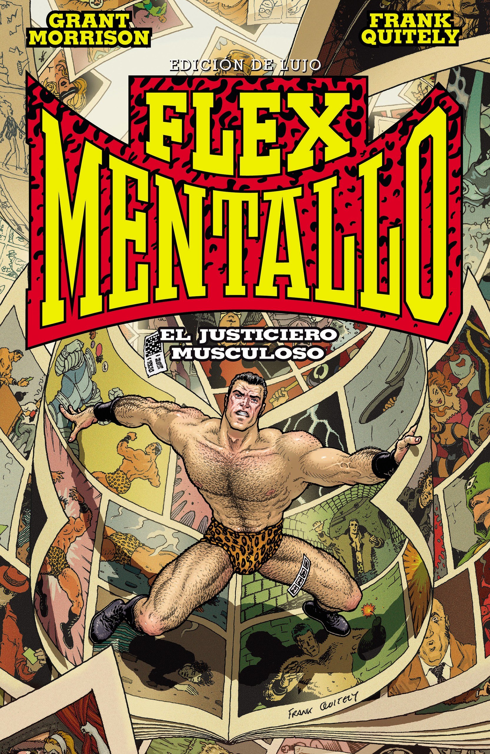 Portada ampliada de FLEX MENTALLO