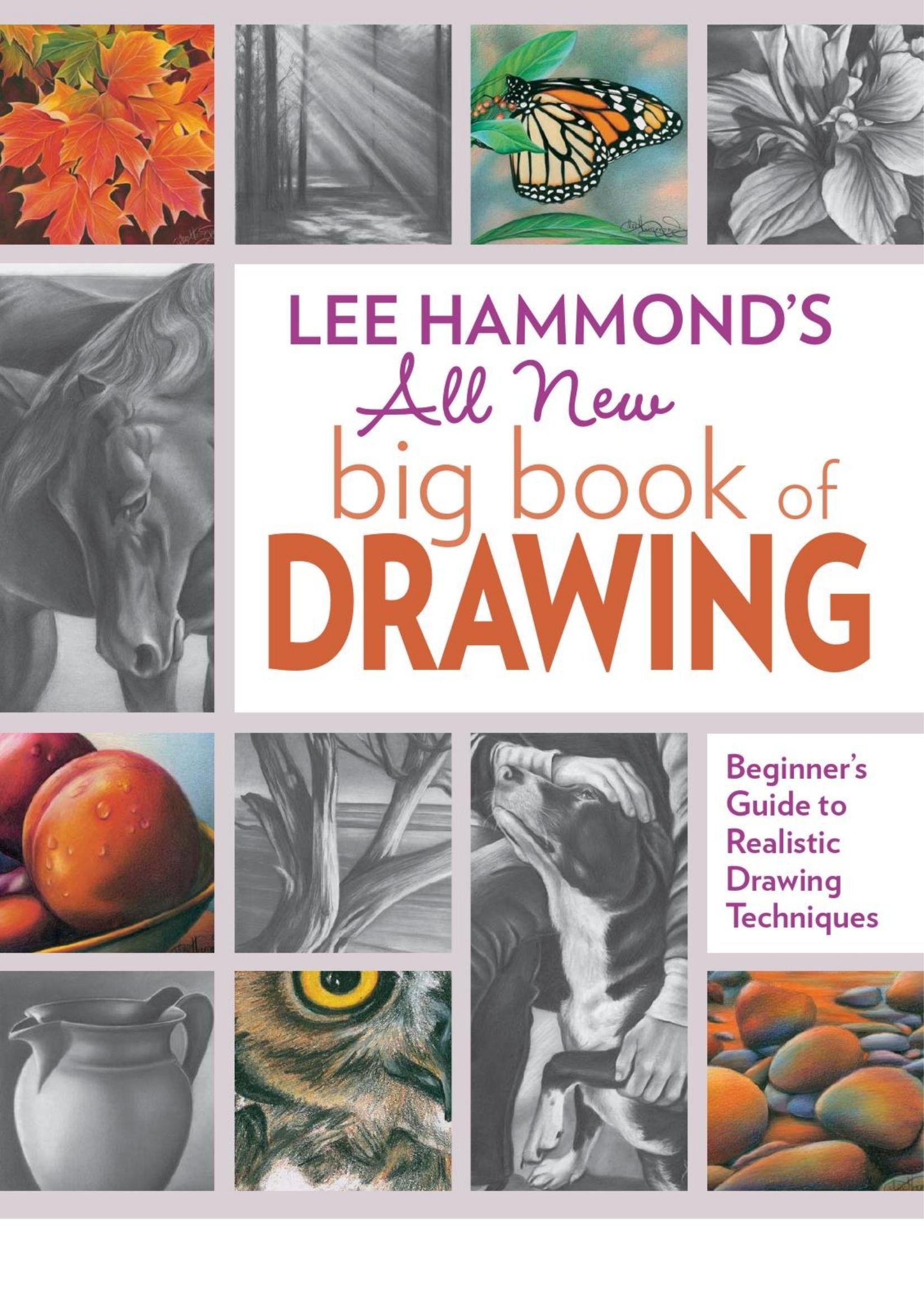 Portada ampliada de Lee Hammond's All New big book of DRAWING