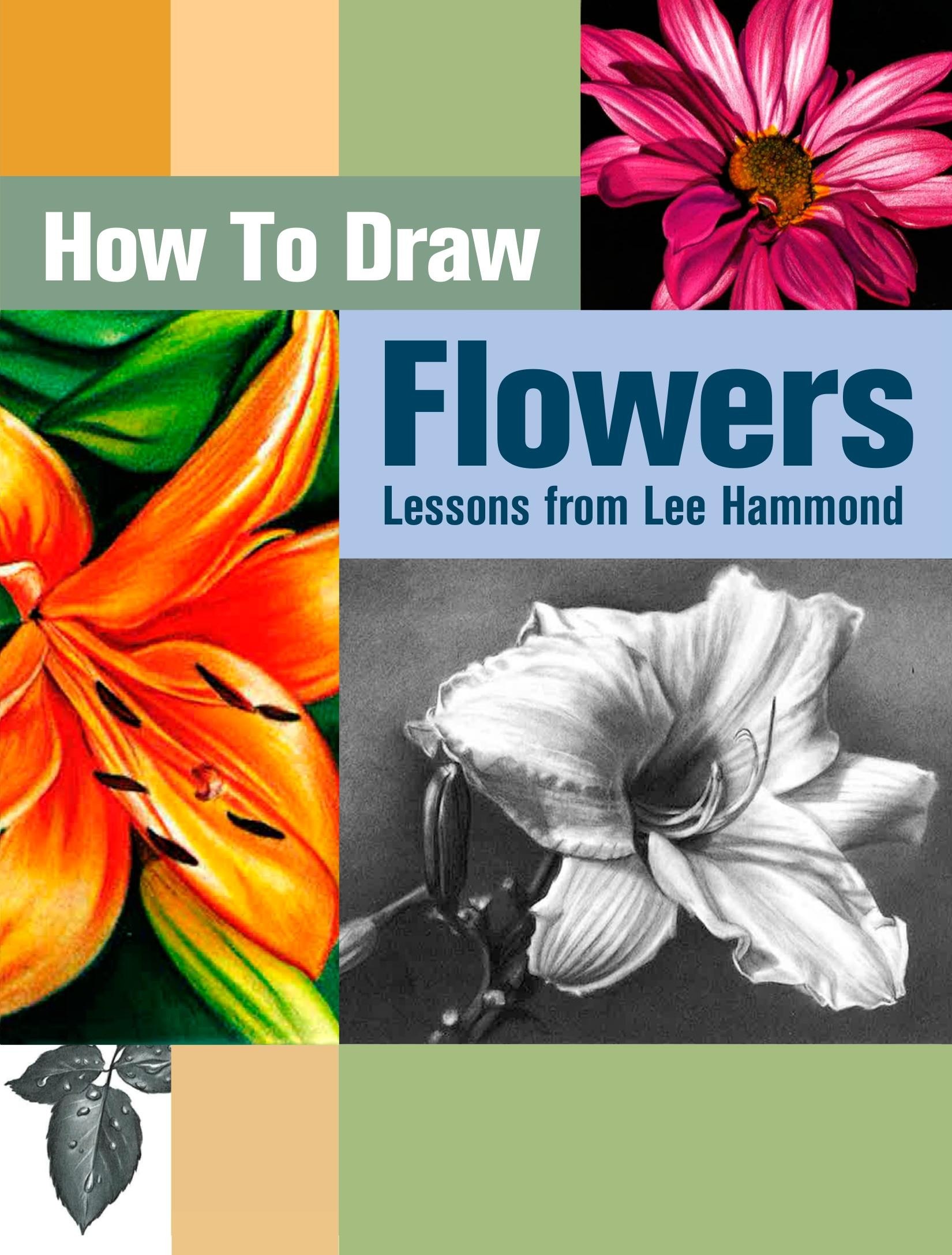 Portada ampliada de How To Draw Flowers