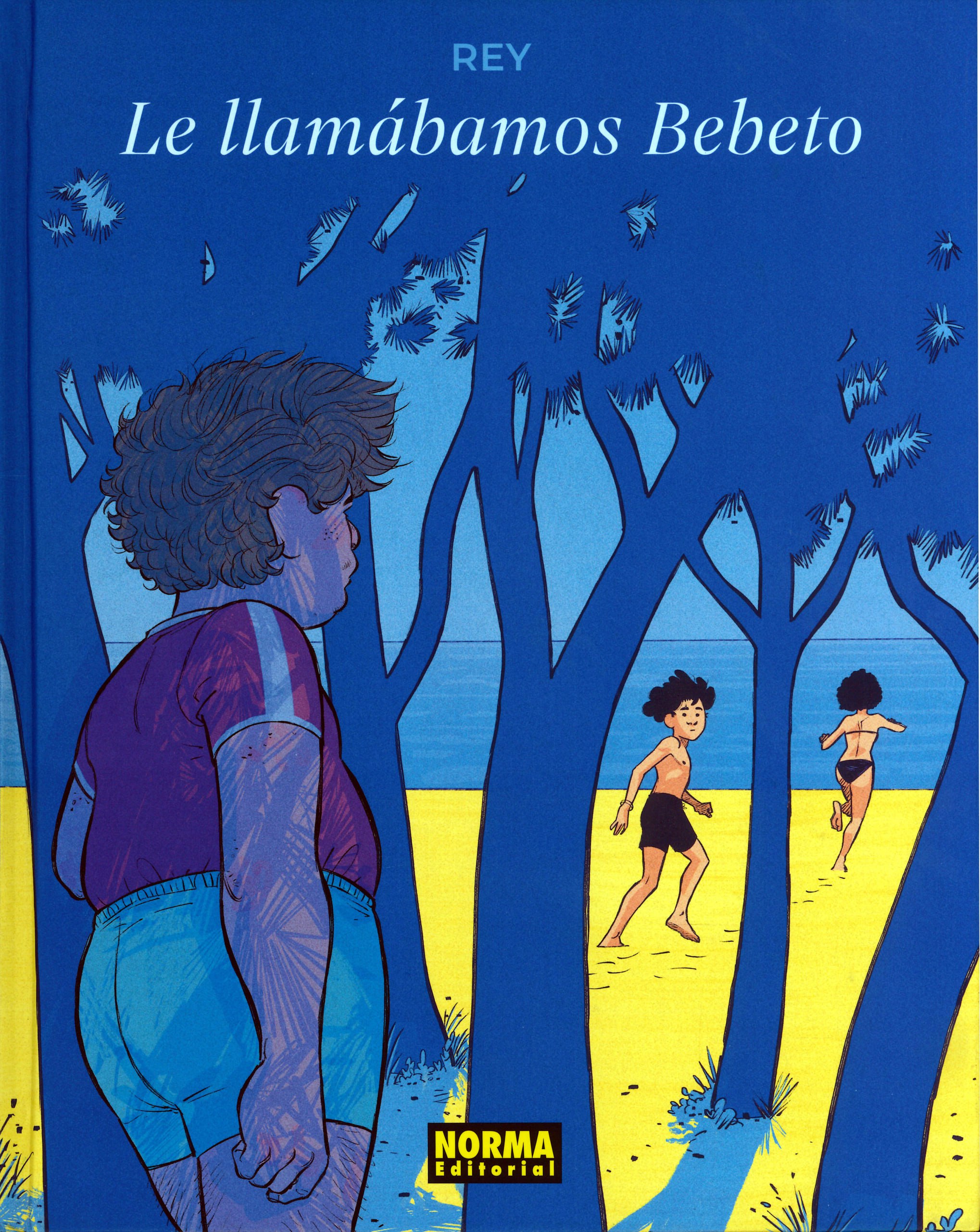 Portada ampliada de Le llamábamos Bebeto