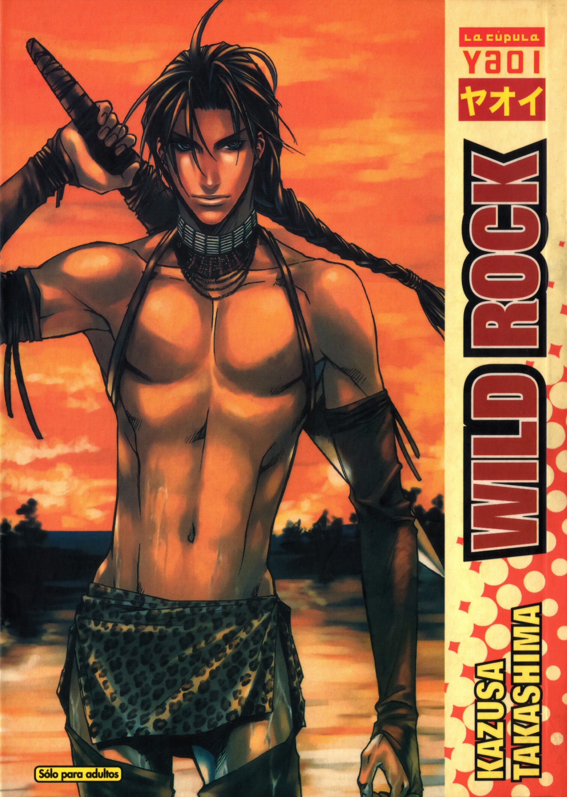Portada ampliada de WILD ROCK