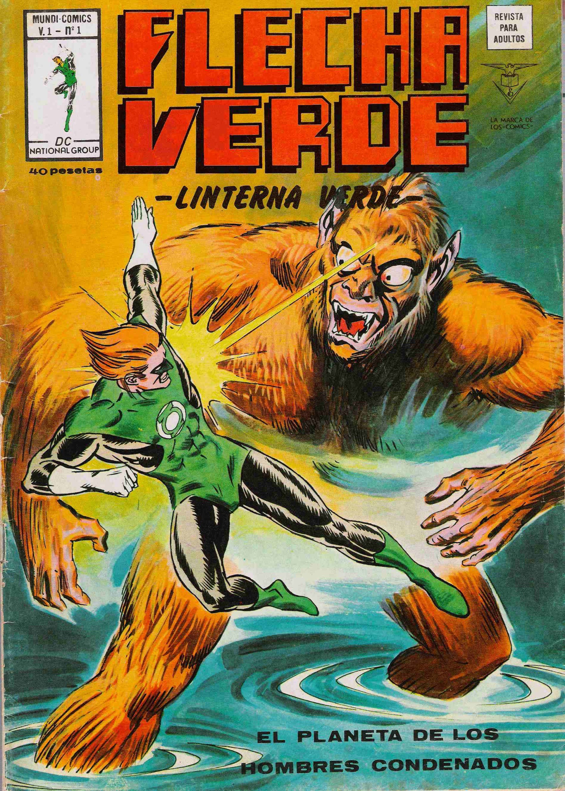 Portada ampliada de FLECHA VERDE