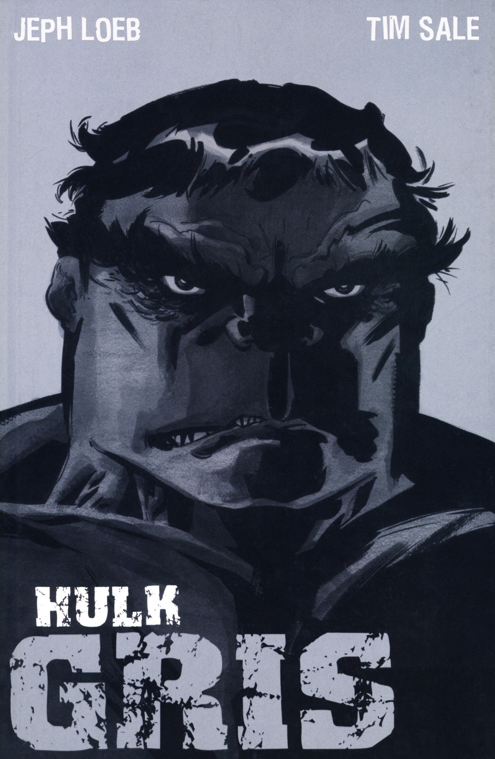 Portada ampliada de HULK GRIS