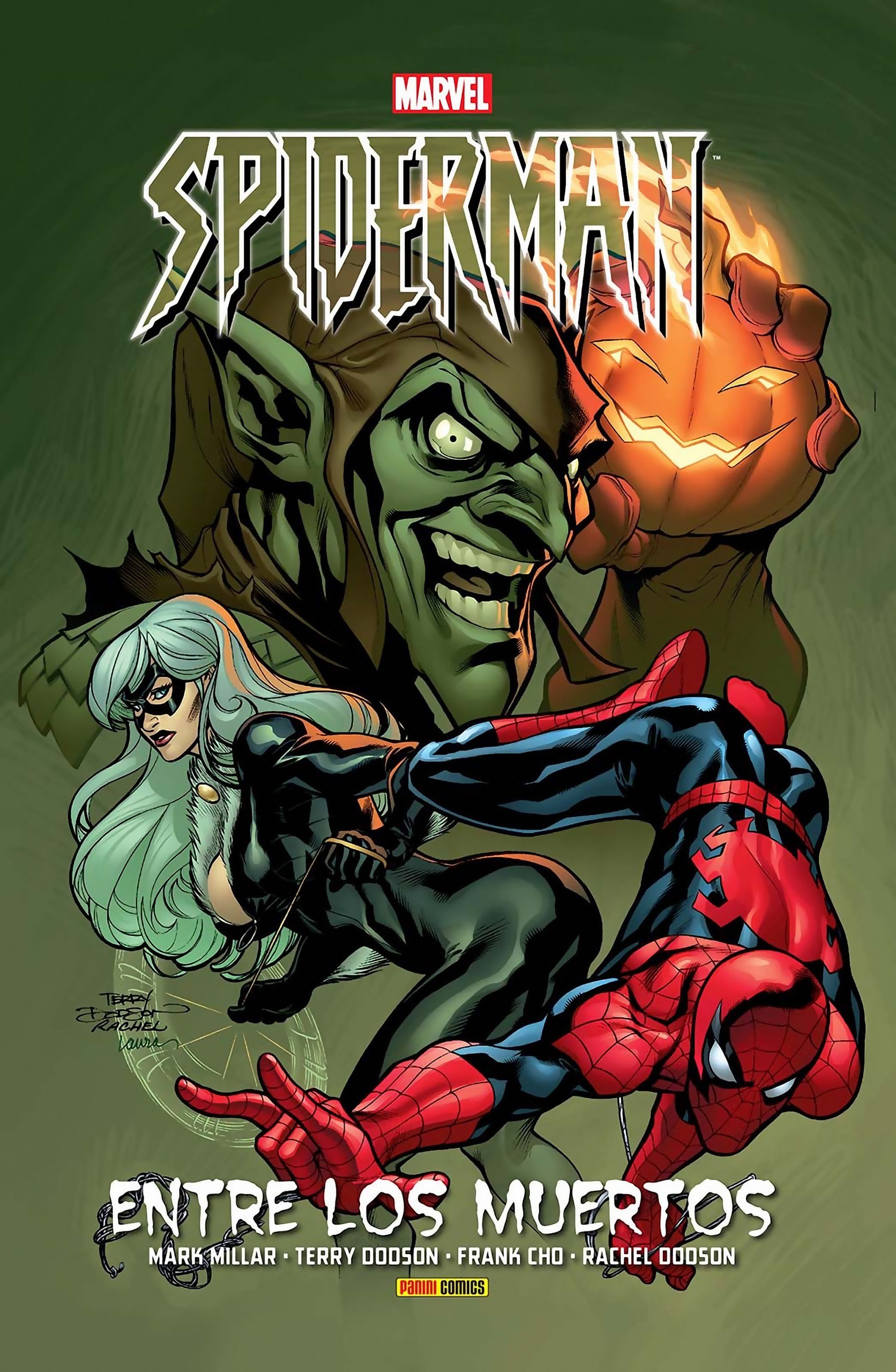 Portada ampliada de SPIDERMAN