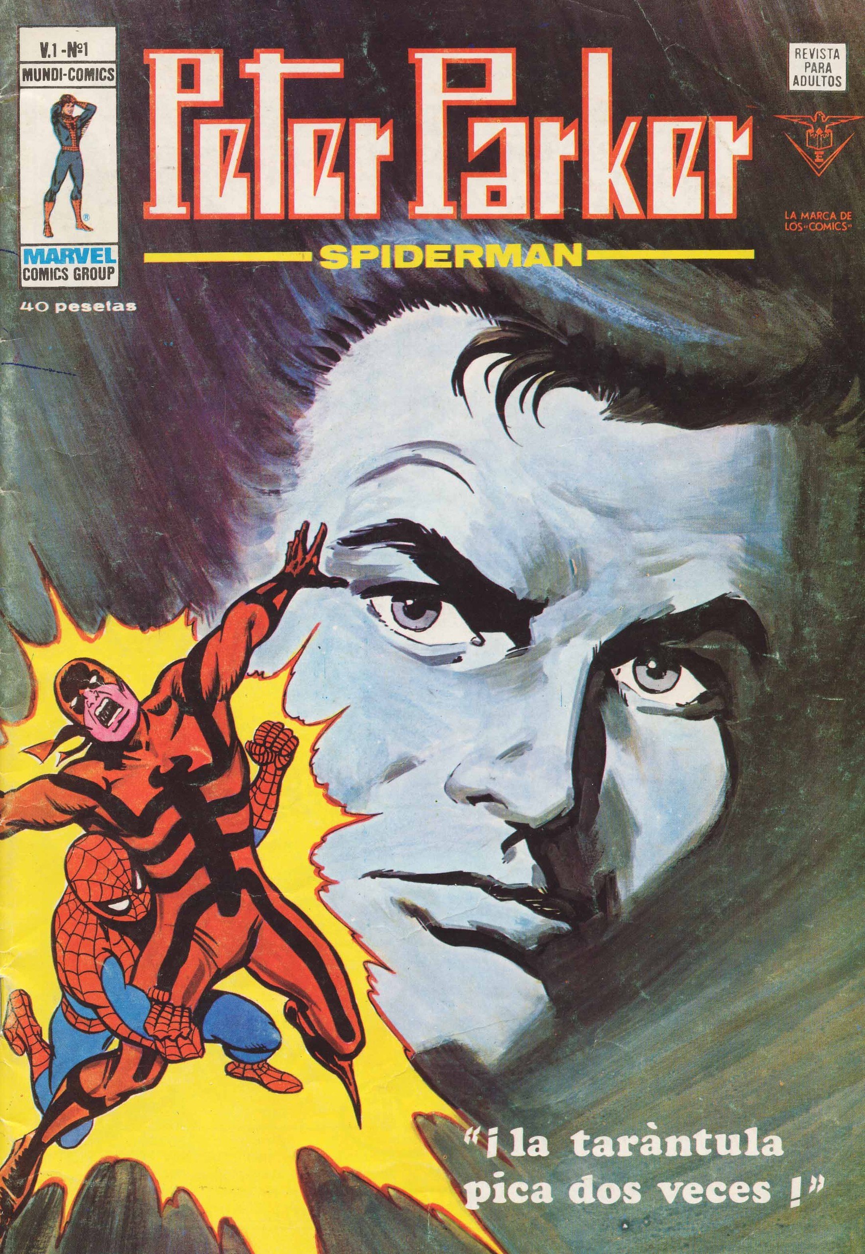Portada ampliada de Peter Parker SPIDERMAN