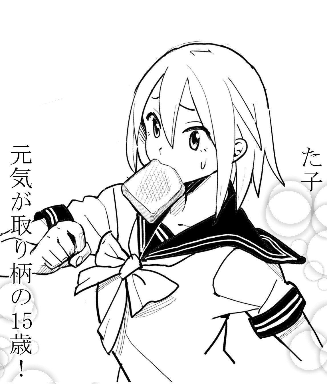 Portada ampliada de Shoujo Manga Kaite Mimashita - Volumen S_N