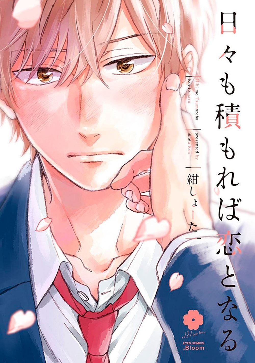 Portada ampliada de Hibi mo Tsumoreba Koi to Naru