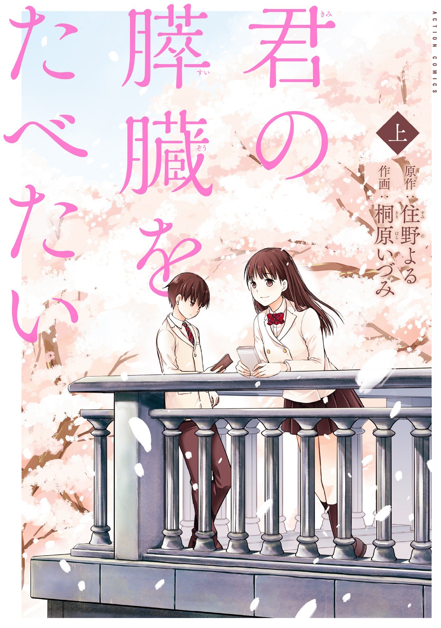 Portada ampliada de Kimi no Suizou wo Tabetai