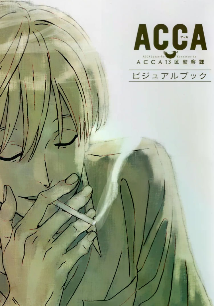 Portada ampliada de ACCA 13 visual book