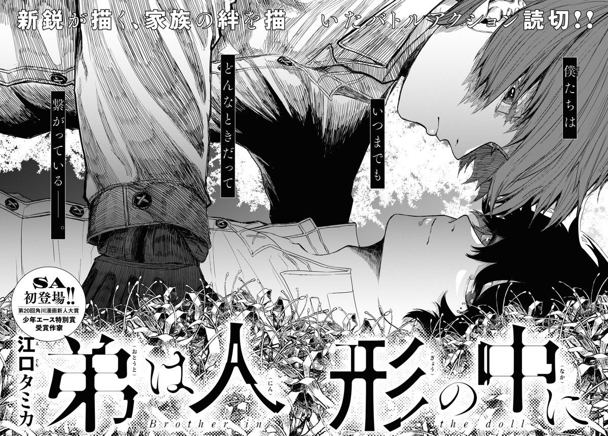 Portada ampliada de Brother in the Doll