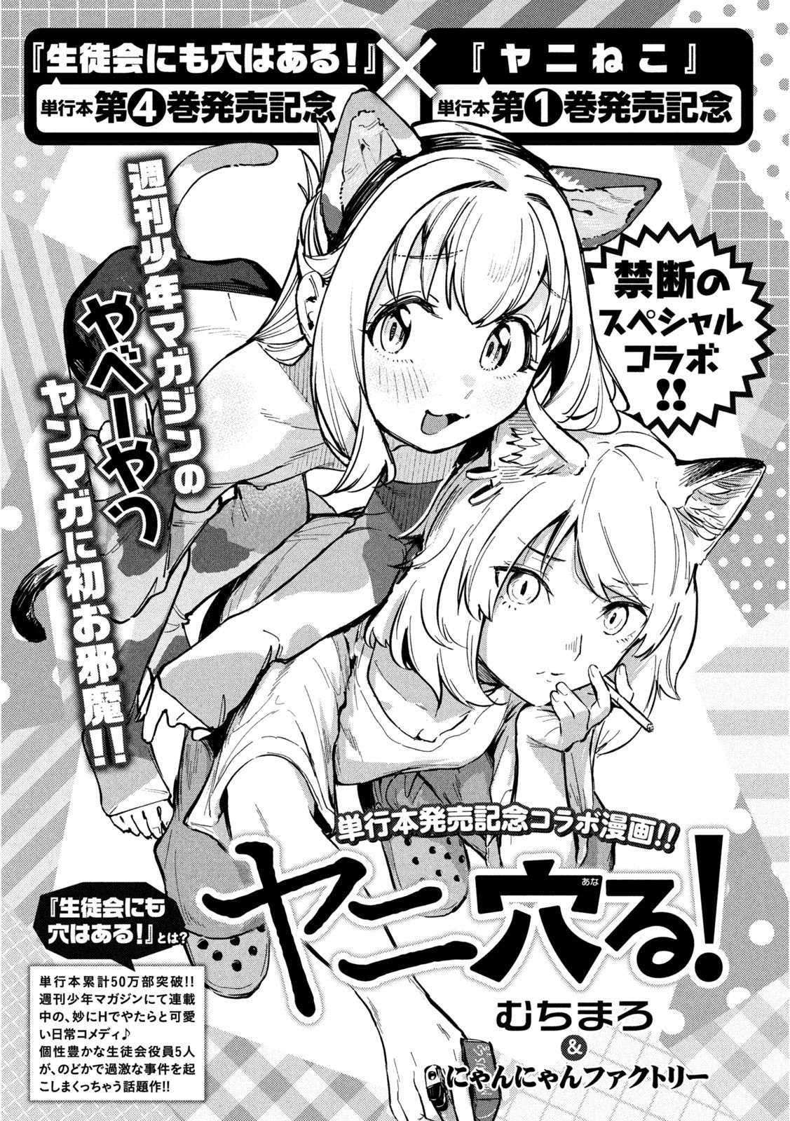 Portada ampliada de Yani Anaru!