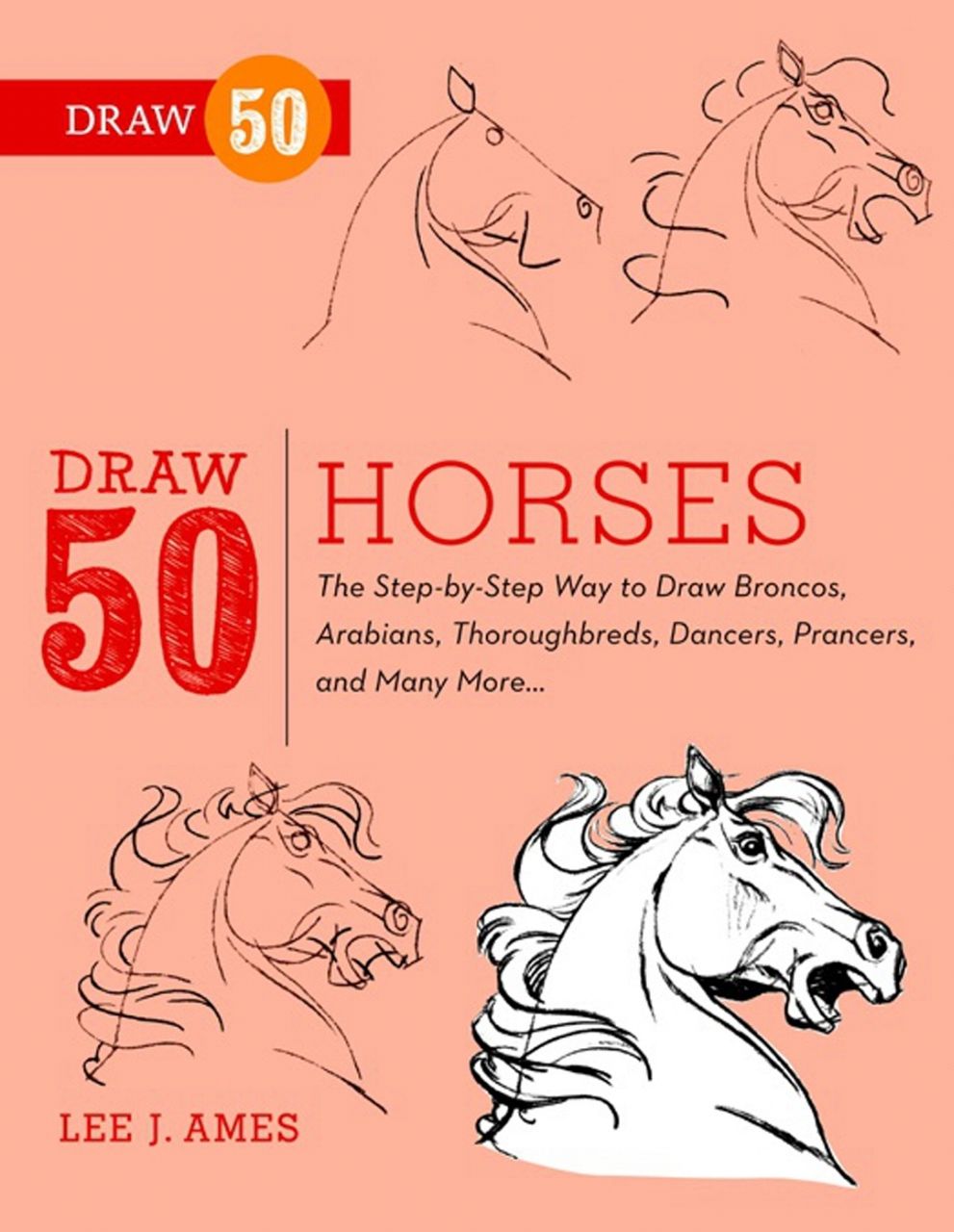 Portada ampliada de DRAW 50 HORSES