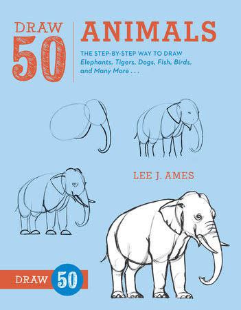 Portada ampliada de DRAW 50 ANIMALS