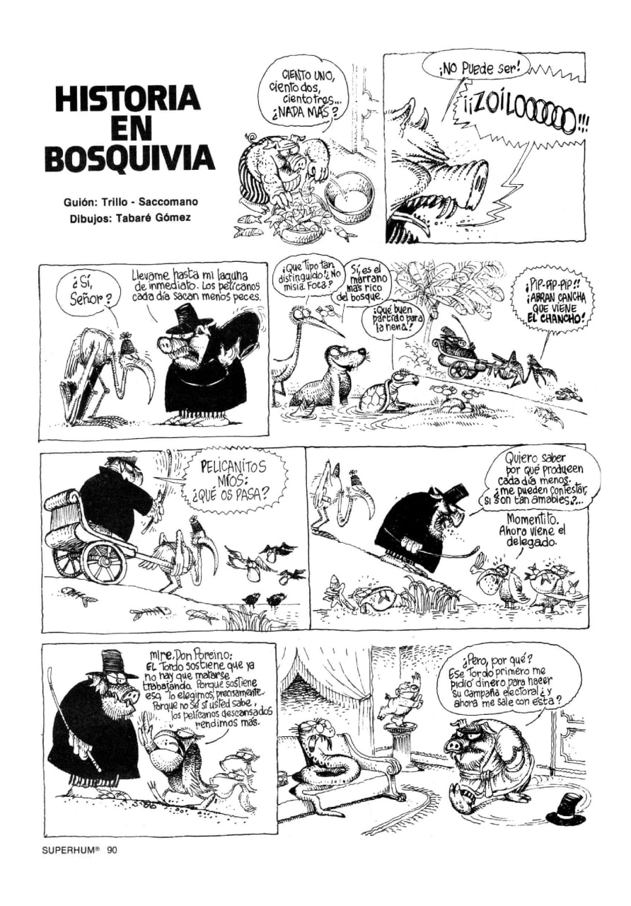Portada ampliada de HISTORIA EN BOSQUILIA
