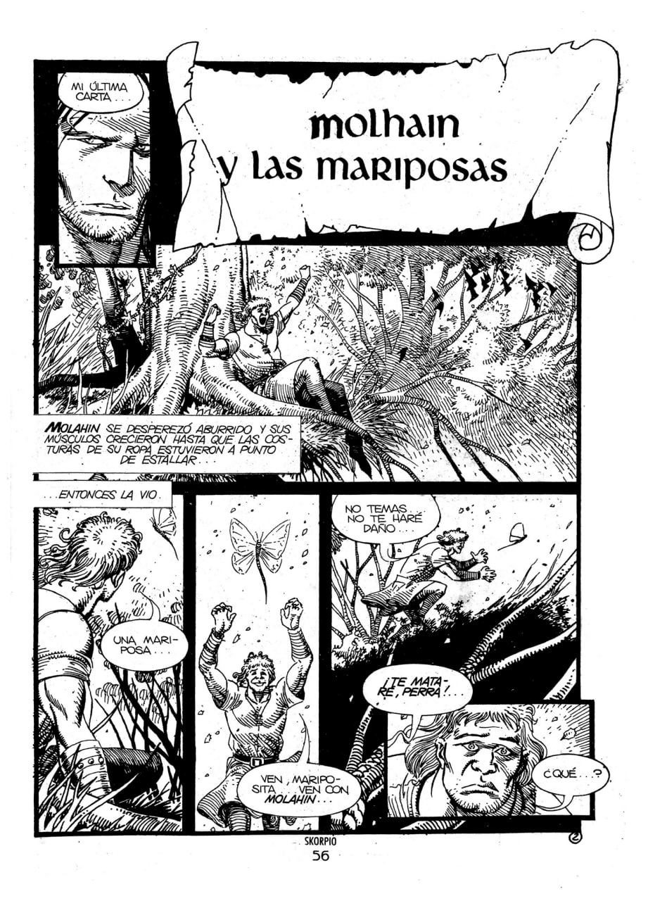 Portada ampliada de molhain y las mariposas