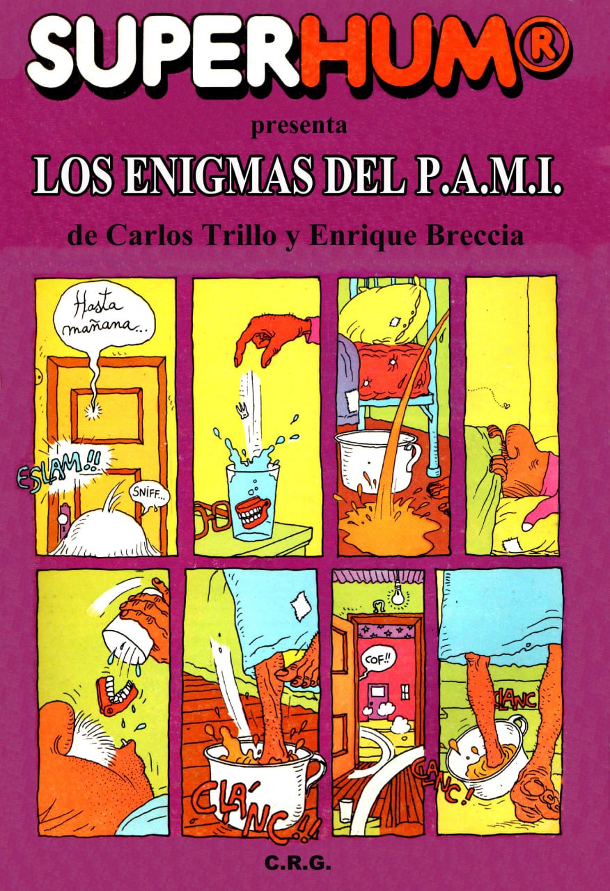 Portada ampliada de LOS ENIGMAS DEL P.A.M.I.