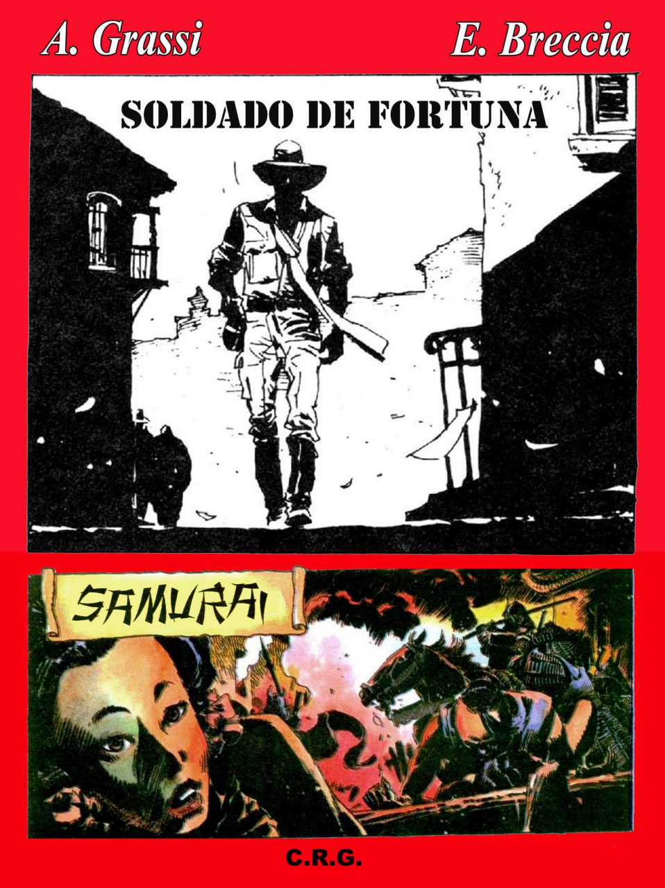 Portada ampliada de SOLDADO DE FORTUNA