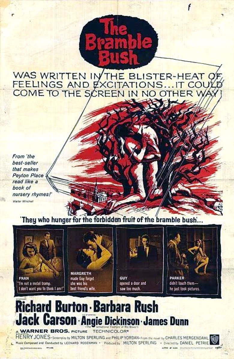 Portada ampliada de The Bramble Bush