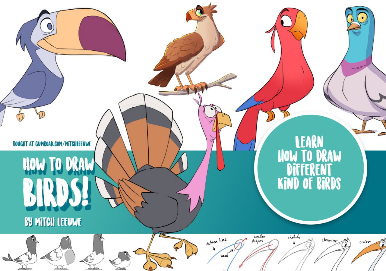 Portada ampliada de How to Draw Birds!