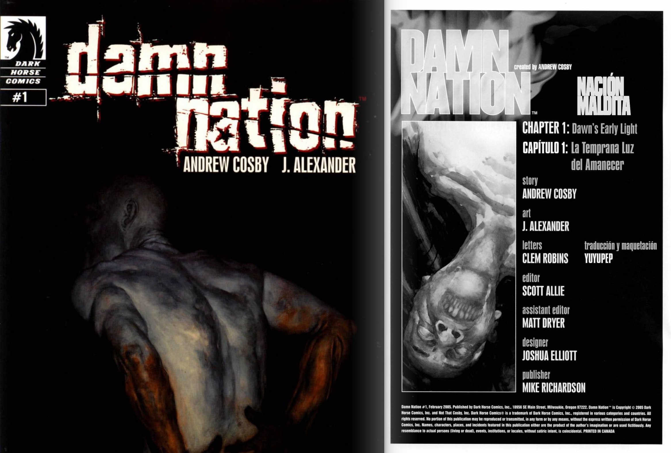 Portada ampliada de damn nation