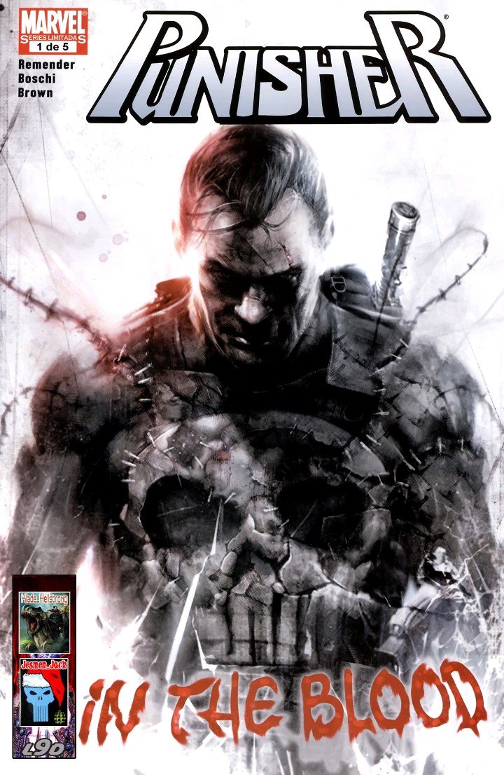 Portada ampliada de Punisher