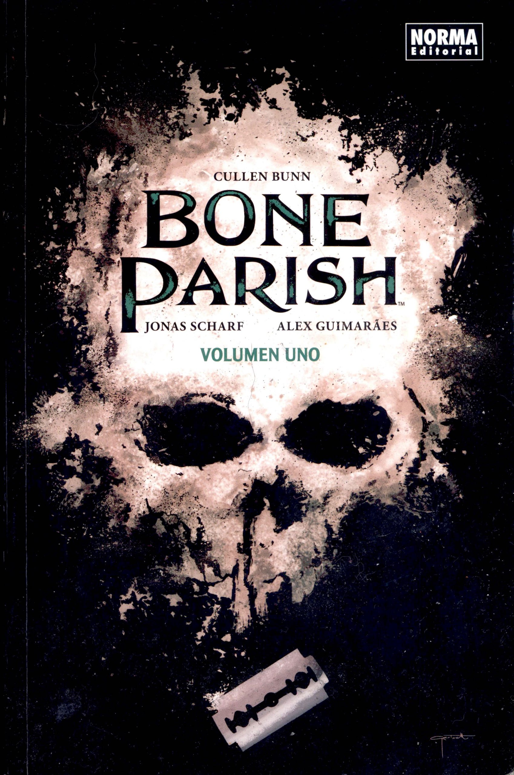 Portada ampliada de BONE PARISH