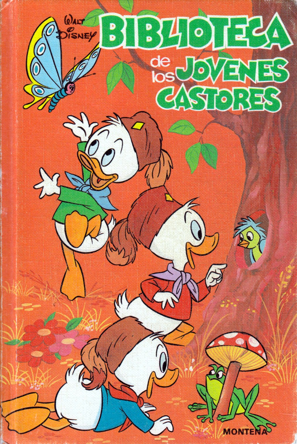 Portada ampliada de BIBLIOTECA de los JOVENES CASTORES
