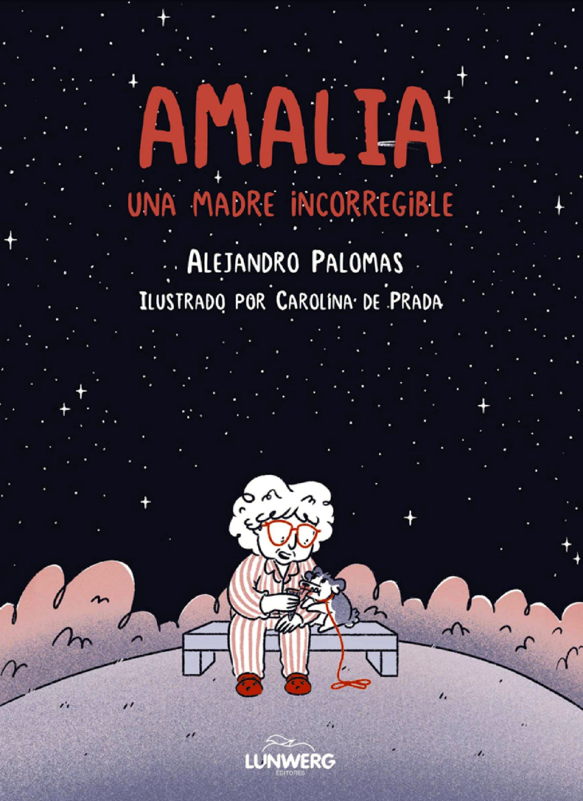 Portada ampliada de AMALIA UNA MADRE INCORREGIBLE