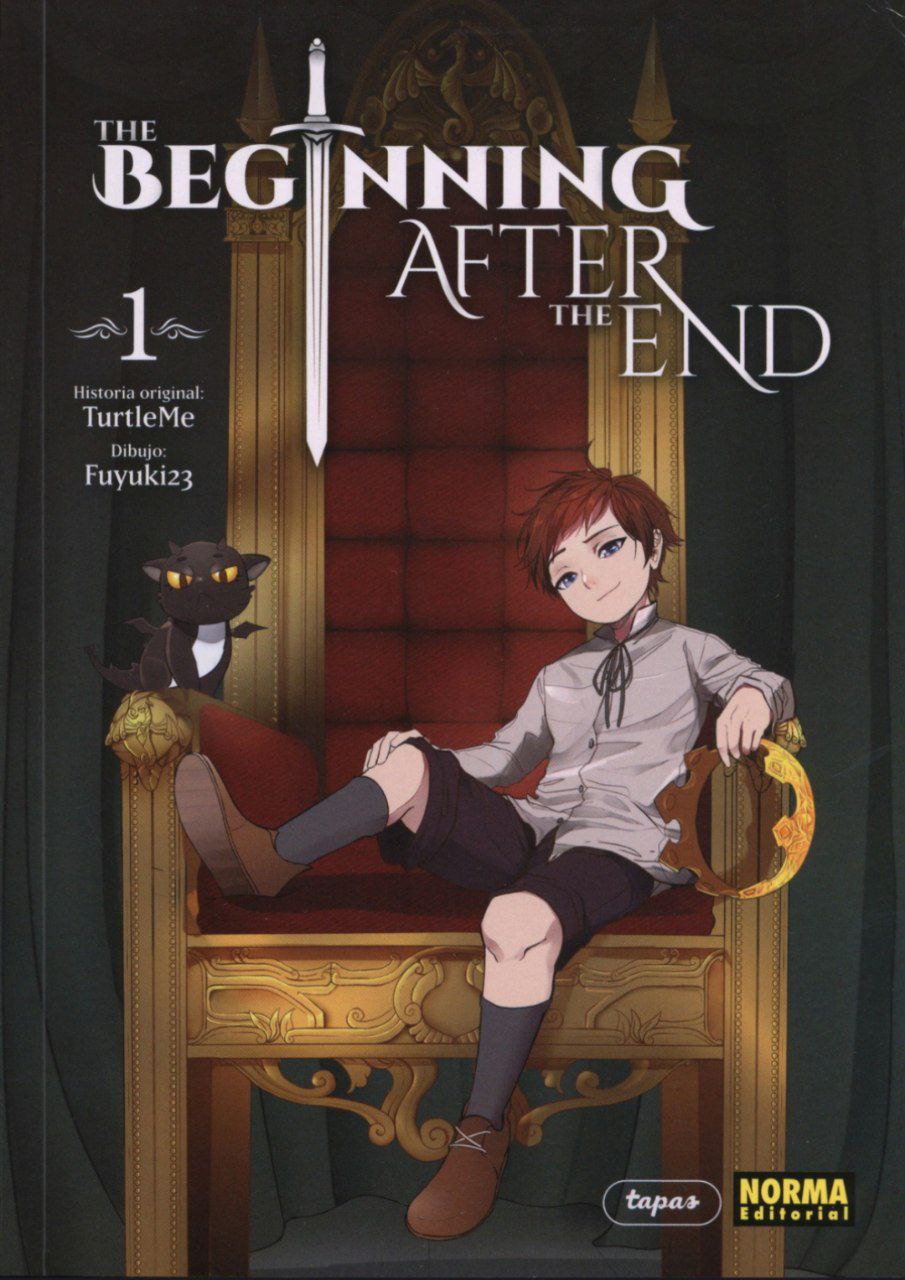 Portada ampliada de The Beginning After The End